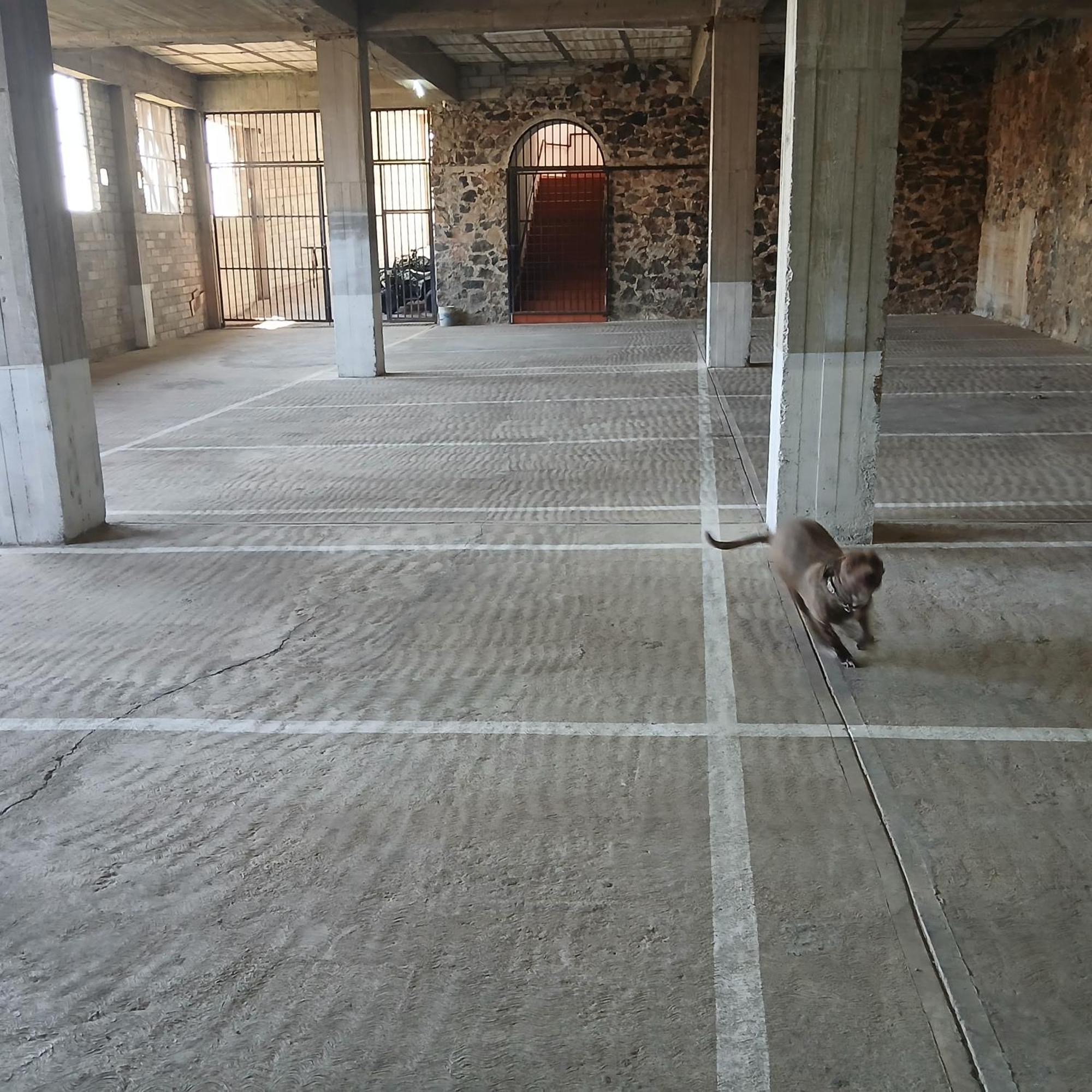 Hotel Alondra Los Laureles Kültér fotó